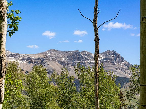 3rd image of Wapiti