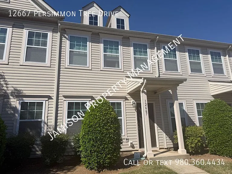 12667 Persimmon Tree Dr — Photo 1