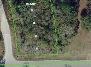 12715 Midvale Ave, New Port Richey, FL 34654