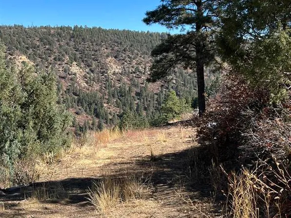 1151&1101 Gun Barrel Road, Pagosa Springs, CO 81147