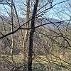2nd image of Seth Hyatt Rd