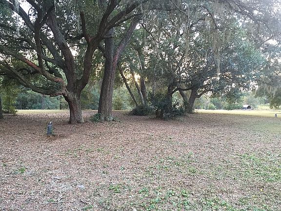 More Oaks and Water Spigot