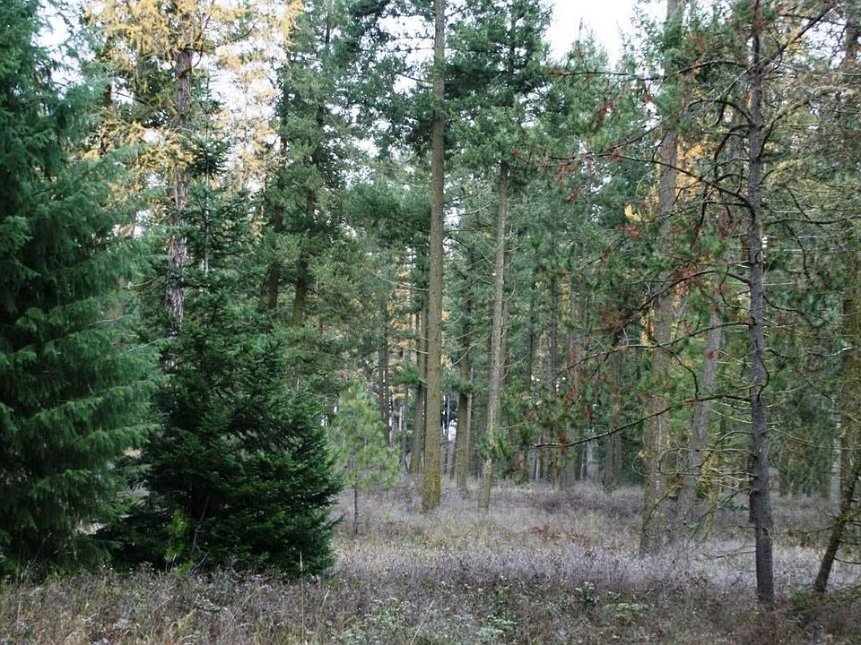 LOT 7 W Dahl Rd, Deer Park, WA 99006 MLS 202324641 Zillow