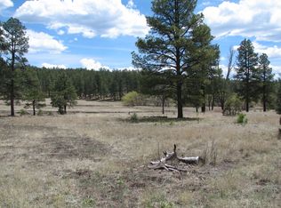 End Of Cr 2310, Alpine, AZ 85920