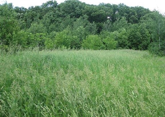 4th image of LOT 3 Crestwood Dr