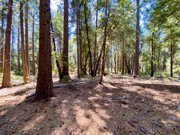 14915 Lolas Echo Rd, Nevada City, CA 95959