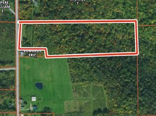 100 Catlin Hl, Beaver Dams, NY 14812