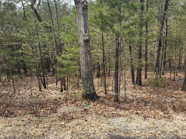 L6-B12 Cochise Rd, Cherokee Village, AR 72529