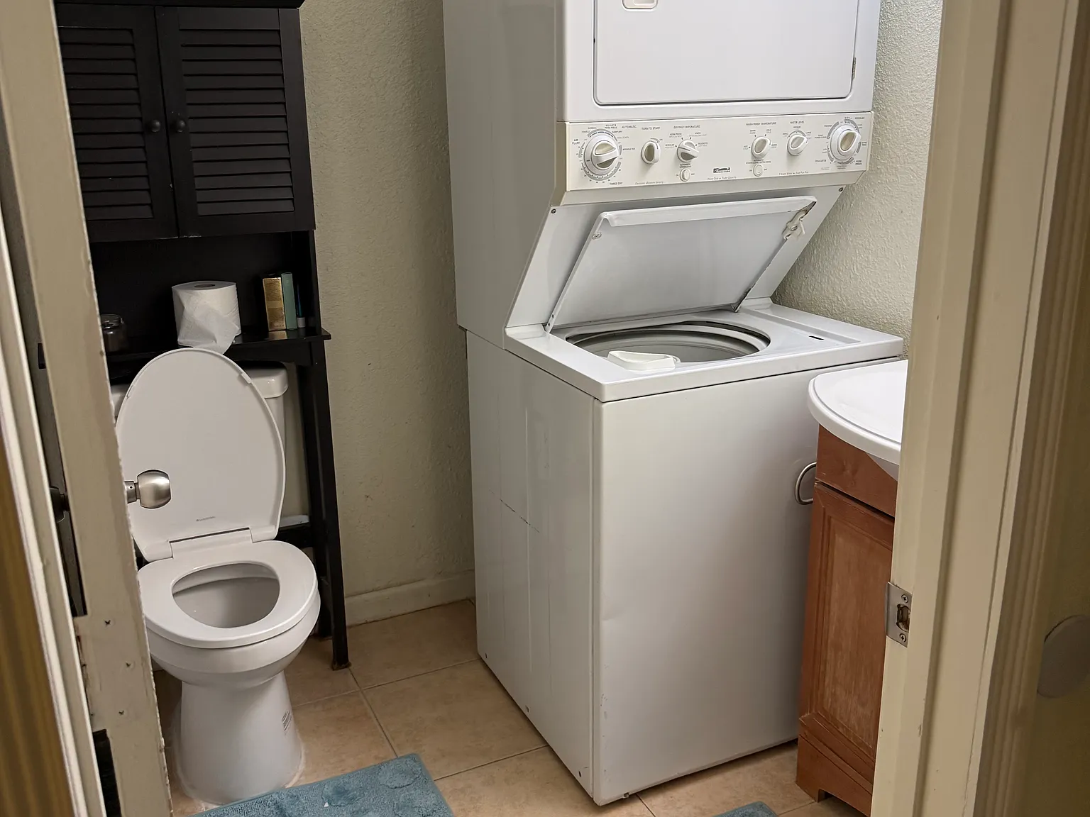2 bed, 1000 sqft, $1,250 — Photo 3