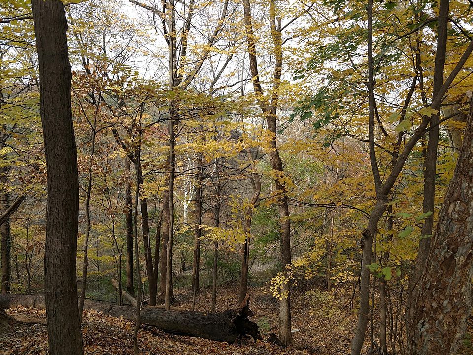 Fall views of Taft and Duke Ellington bridges