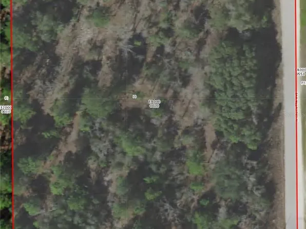 8228 N Calcutta Ave #2, Dunnellon, FL 34433