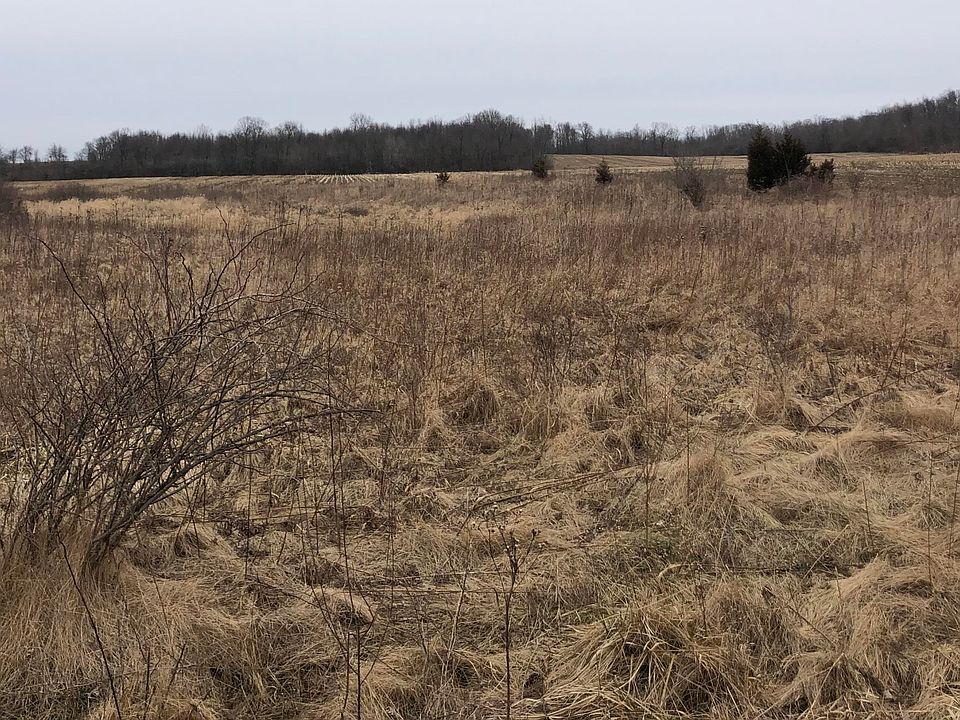 2nd image of 114th Ave