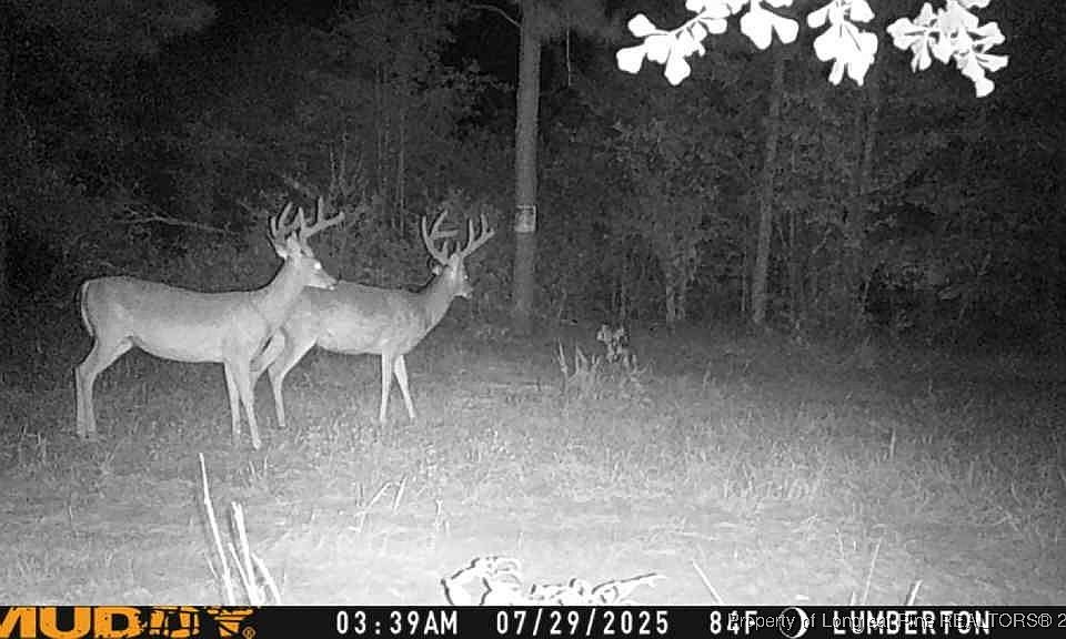 1st image of Allen St