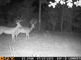 Allen St, Lumberton, NC 28358