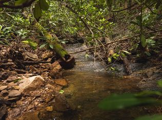 Tbd Macks Mountain Rd, Indian Valley, VA 24105