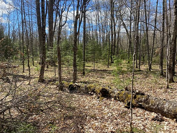 4th image of 17 Great Northern Trl S