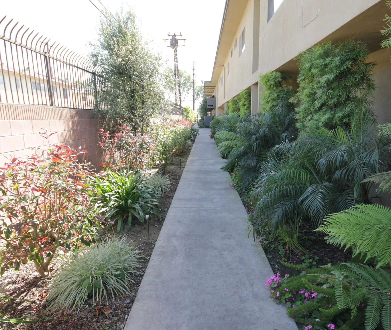 1 bed, 700 sqft, $1,895 — Photo 3