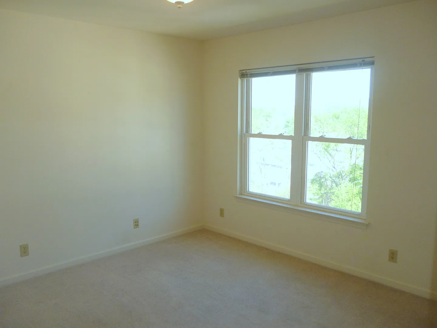 1027 Wertland Street — Photo 4