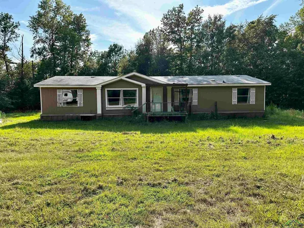 2815 Yellow Rose Rd, Diana, TX 75640