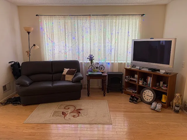 289 Waxwing Dr — Photo 6
