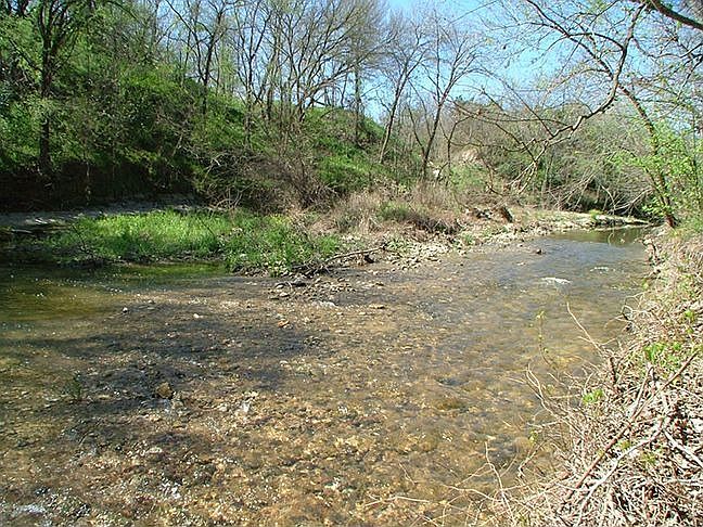 Onion Creek Flowing