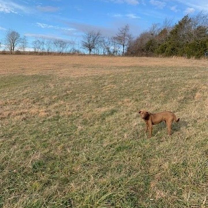 1st image of 0 Wilbur Glass Rd