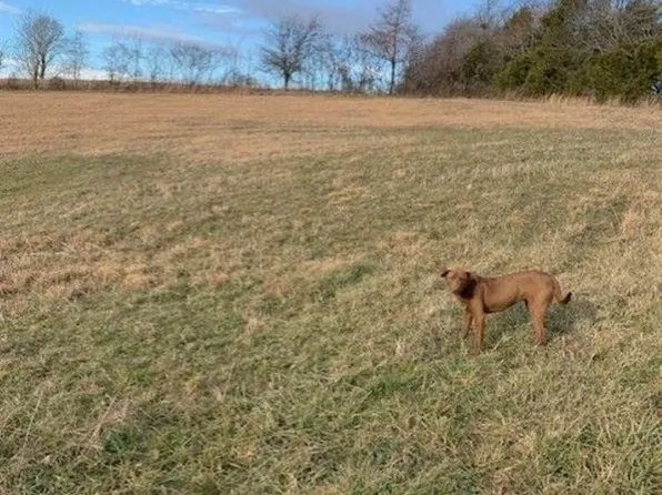 0 Wilbur Glass Rd, Edmonton, KY 42129