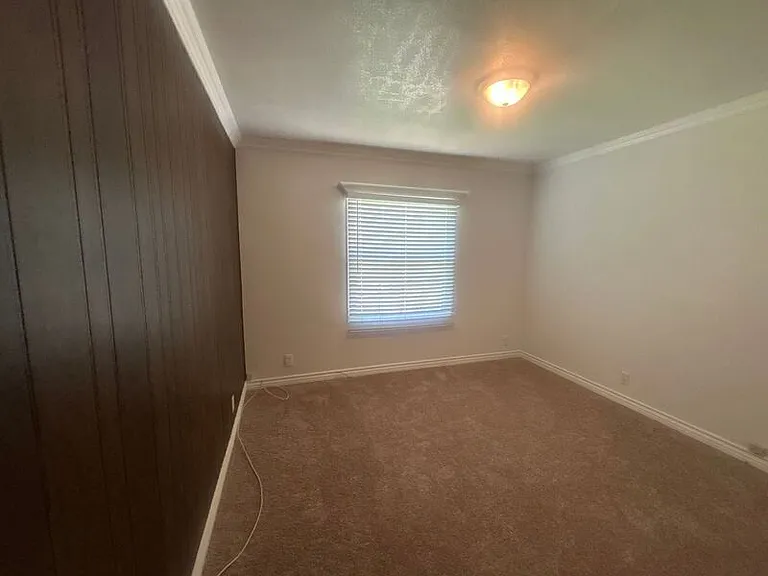 429 Paulette Pl — Photo 19