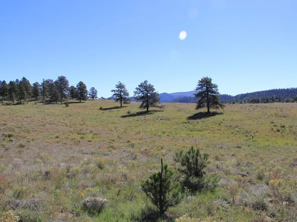 TRACT Five Patriot Cir, Westcliffe, CO 81252