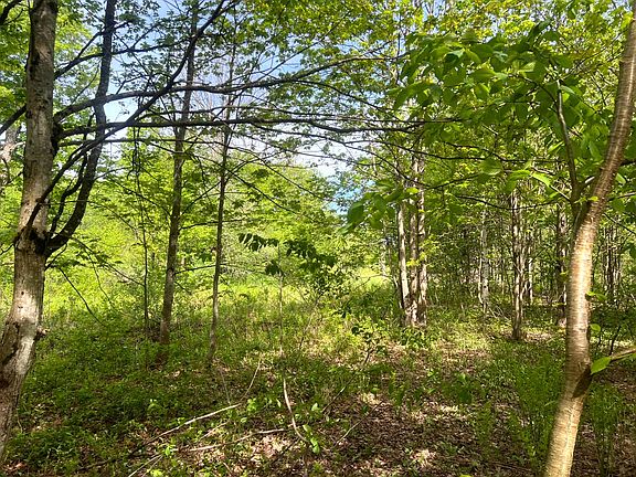3rd image of 3 Creek Rd