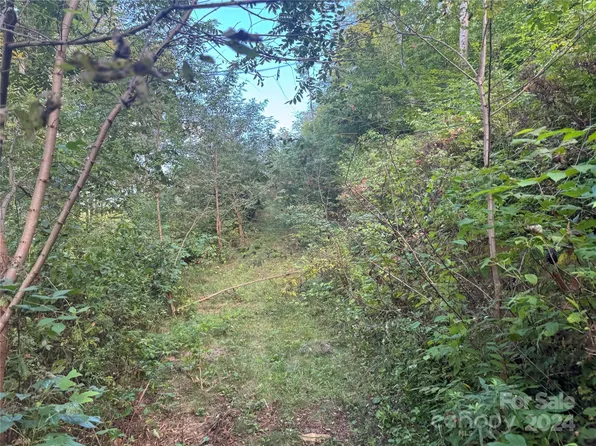 0 Settlers Ln, Waynesville, NC 28785