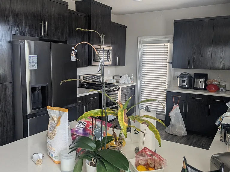 10873 Portico Cir — Photo 40