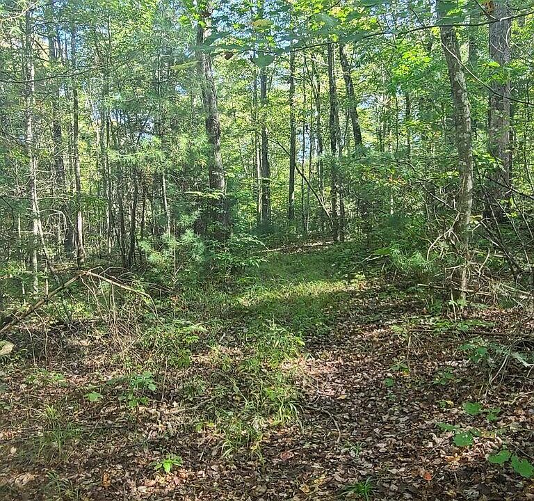 2nd image of Hannah Davidson Rd
