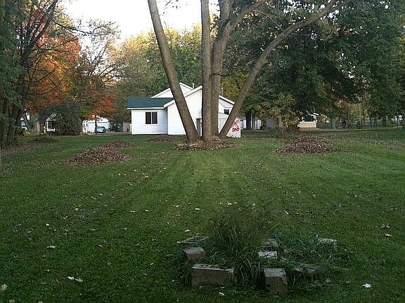 Backyard from rear of lot