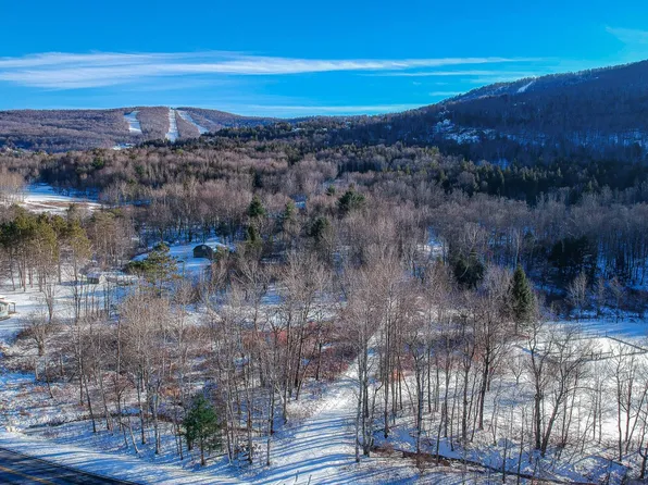 L1912 South St, Windham, NY 12496