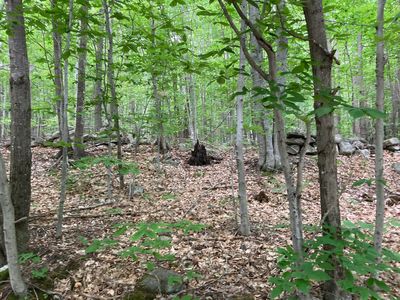 M4 L9-7 Rosenberg Road, Sumner, ME, 04292