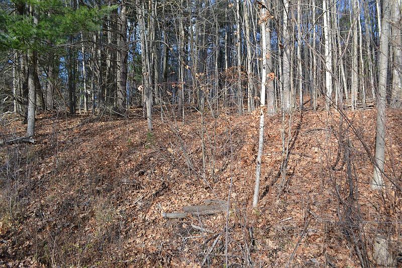2nd image of 0 SUMMIT LAKE Road