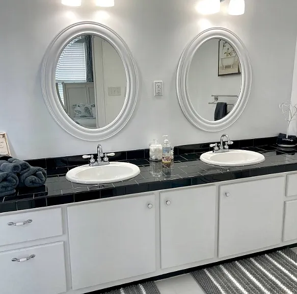 Master Bathroom Double Sink