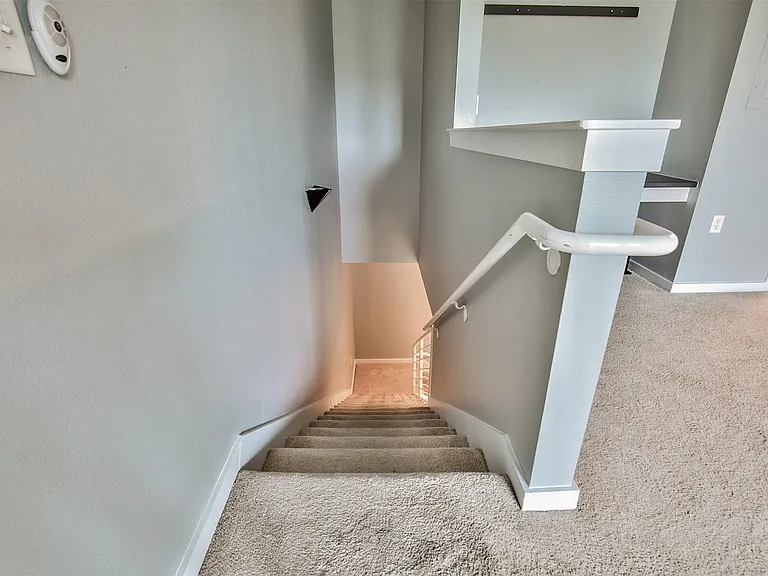 Carpeted staircase with white handrail and light gray walls
