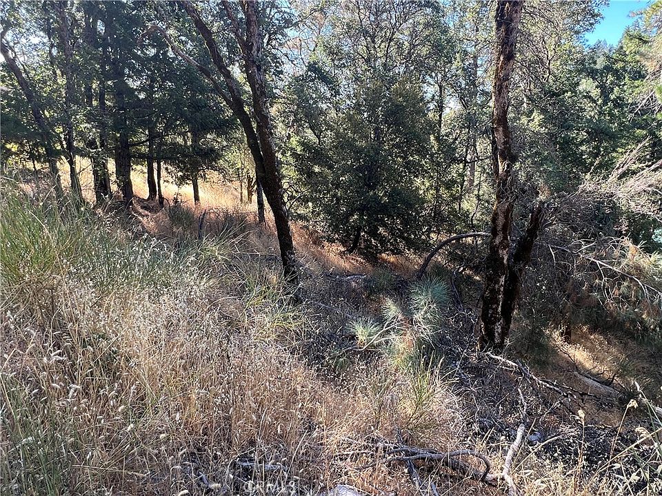 1st image of 9763 Palmer Dr #A