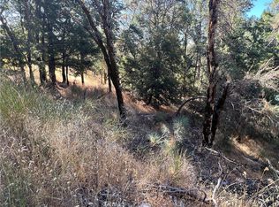 9763 Palmer Dr #A, Cobb, CA 95426