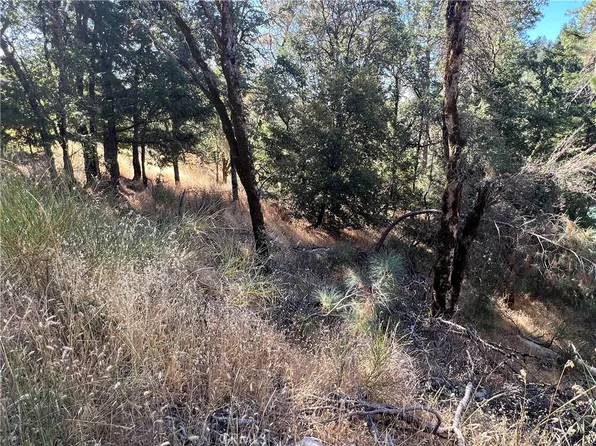 9763 Palmer Dr #A, Cobb, CA 95426