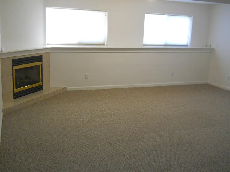 Basement fireplace.