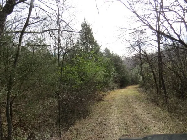 958 Dollar Hollow Rd, Pulaski, TN 38478