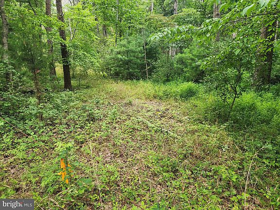 4th image of 380 Conners Hollow Rd