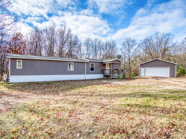 17193 Three Mile Rd, Morley, MI 49336