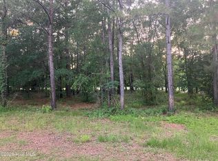 112 Riverstone Run Dr Lot Rs56, Wallace, NC 28466