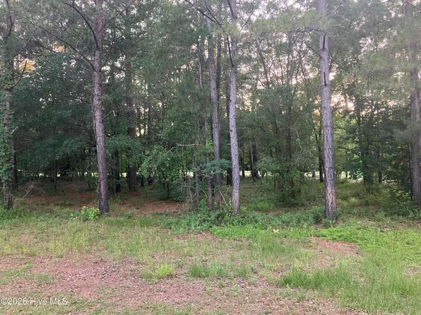 112 Riverstone Run Dr Lot Rs56, Wallace, NC 28466