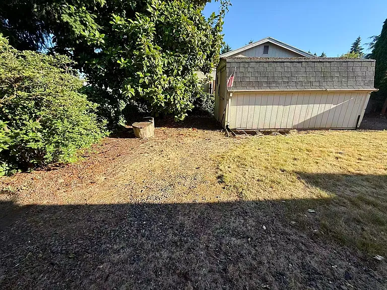 Backyard with Shed