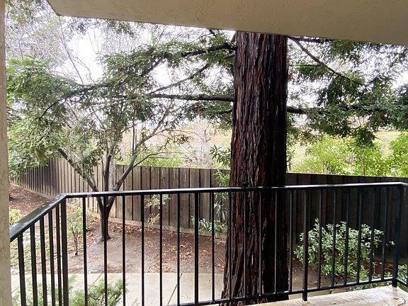 Large patio overlooking redwoods + balcony storage